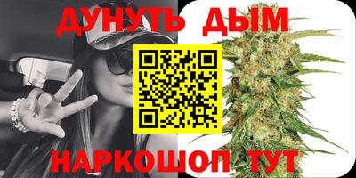 дживик Новозыбков