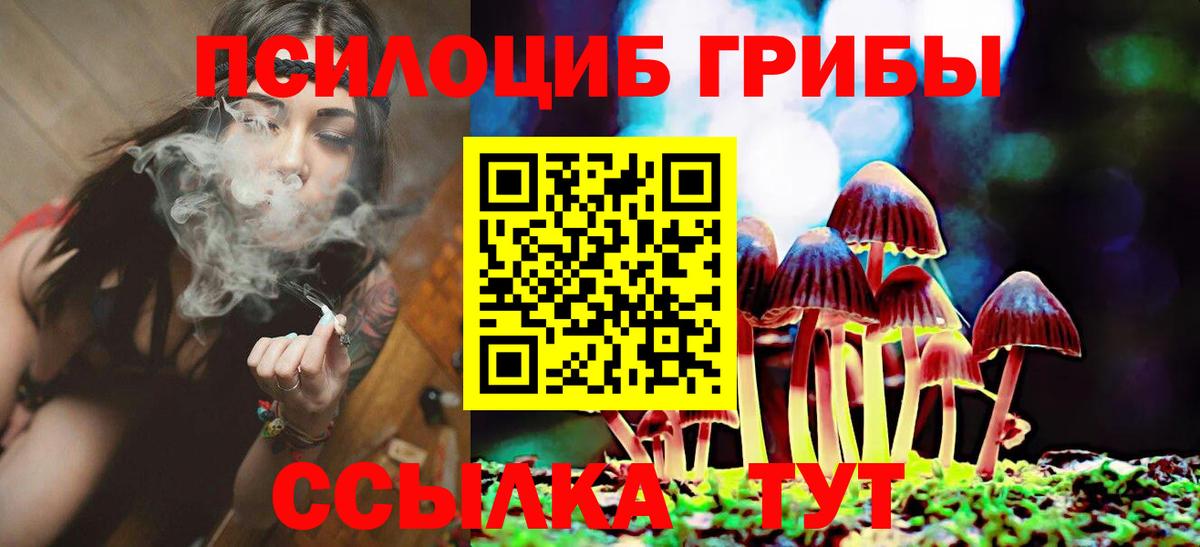 Псилоцибиновые грибы MAGIC MUSHROOMS Сегежа
