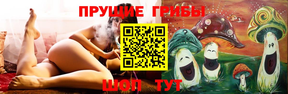 Галлюциногенные грибы Psilocybe  Галлюциногенные грибы ЛСД  Вход с VPN  Сегежа 